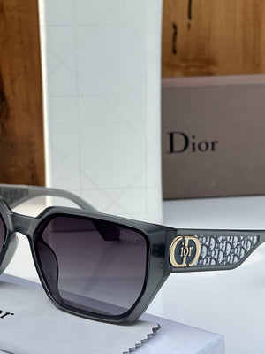 Dior Ladies Grey