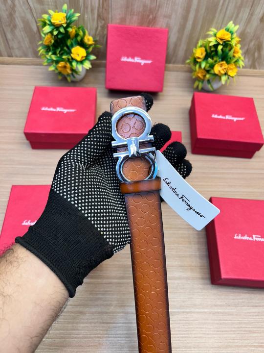 Salvatore Ferragamo Silver Brown