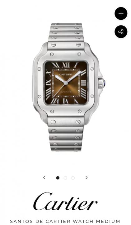 Cartierr Santos Automatic Silver Brown