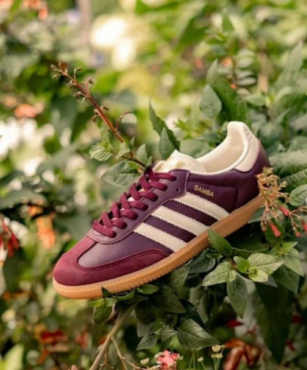 Adidas Samba OG Maroon
