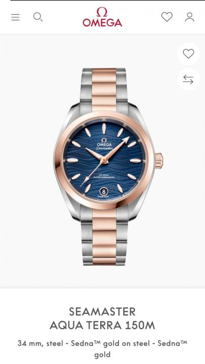 Omega Seamaster Aqua Terra Dual Tone Blue